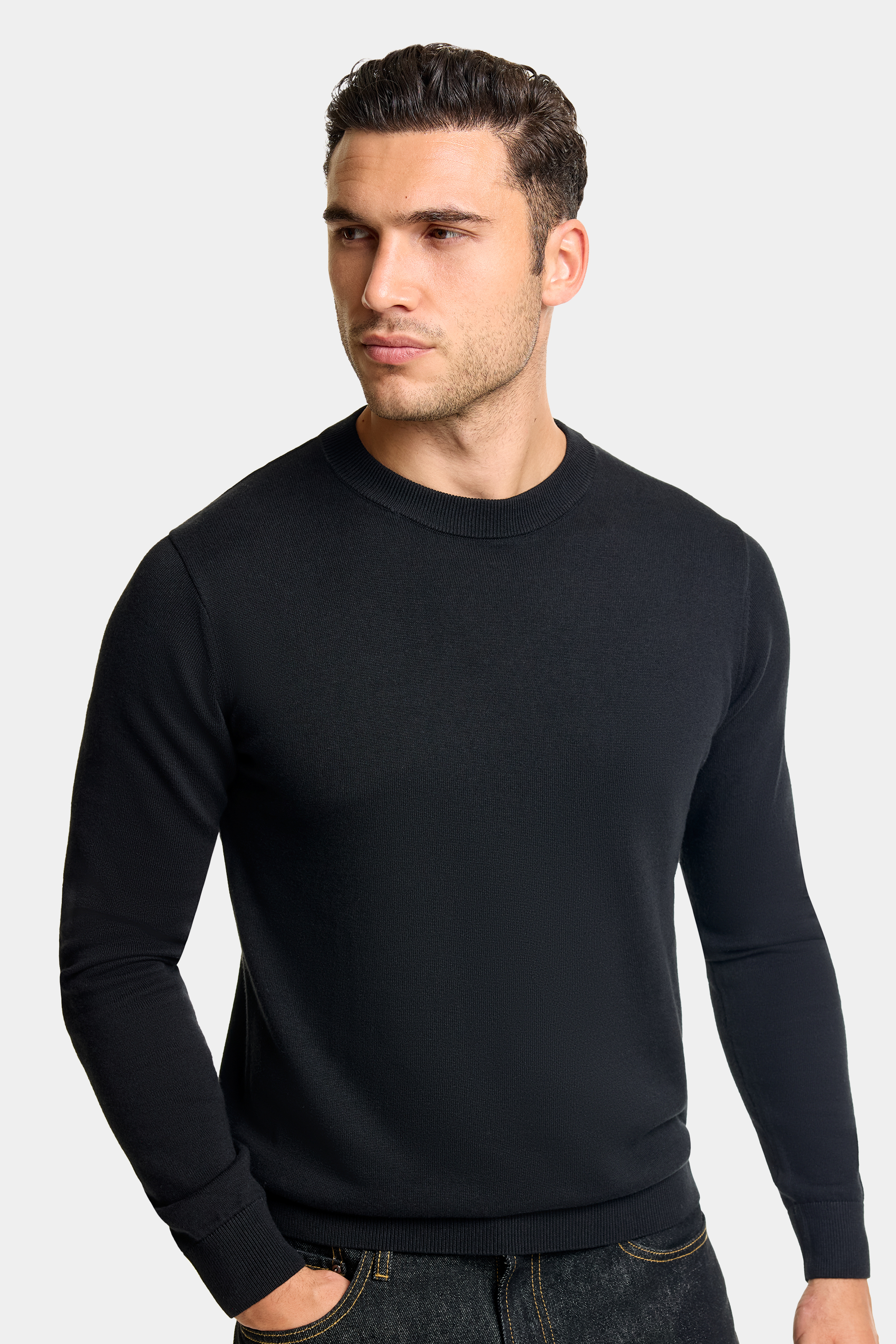 THE SWART FABIO CREWNECK SWEATER