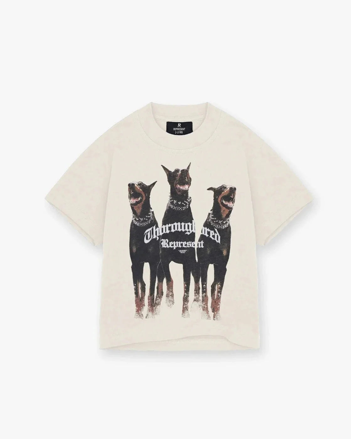 graphic tees (pre-orders)